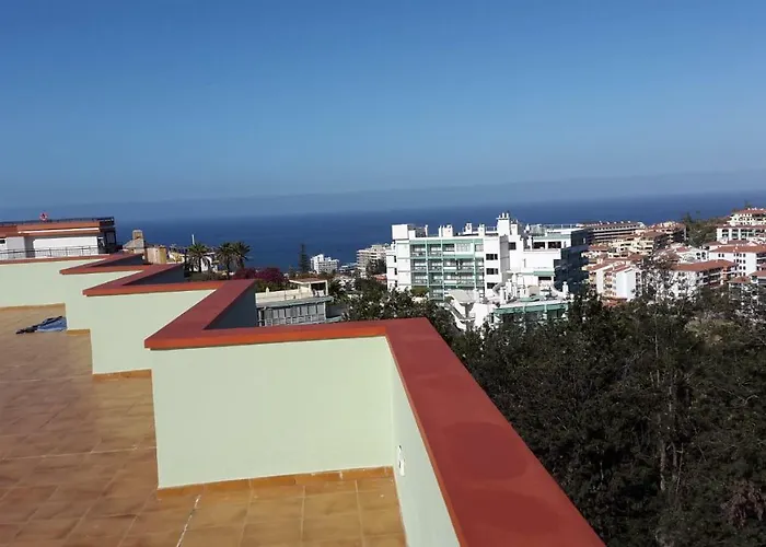 Estudio Nuevo En